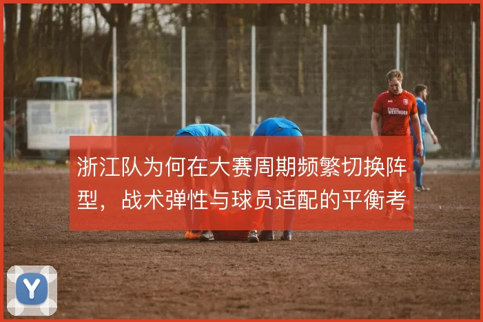 浙江队为何在大赛周期频繁切换阵型,战术弹性与球员适配的平衡考量